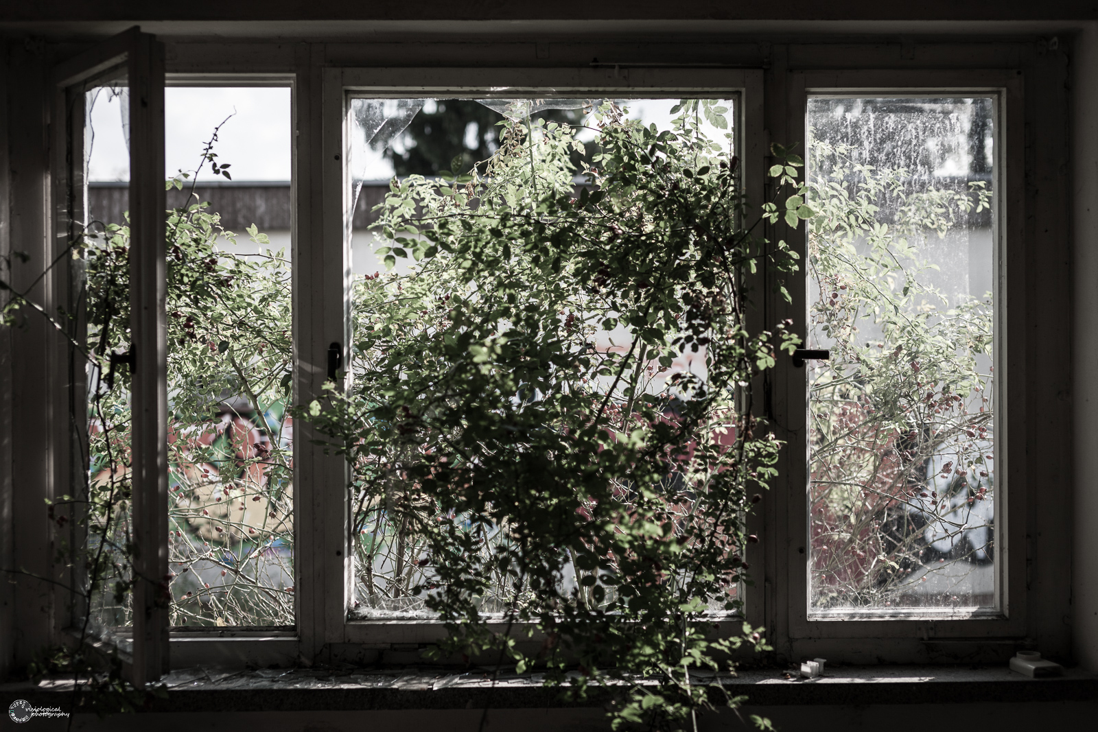 Hotel Seeblick